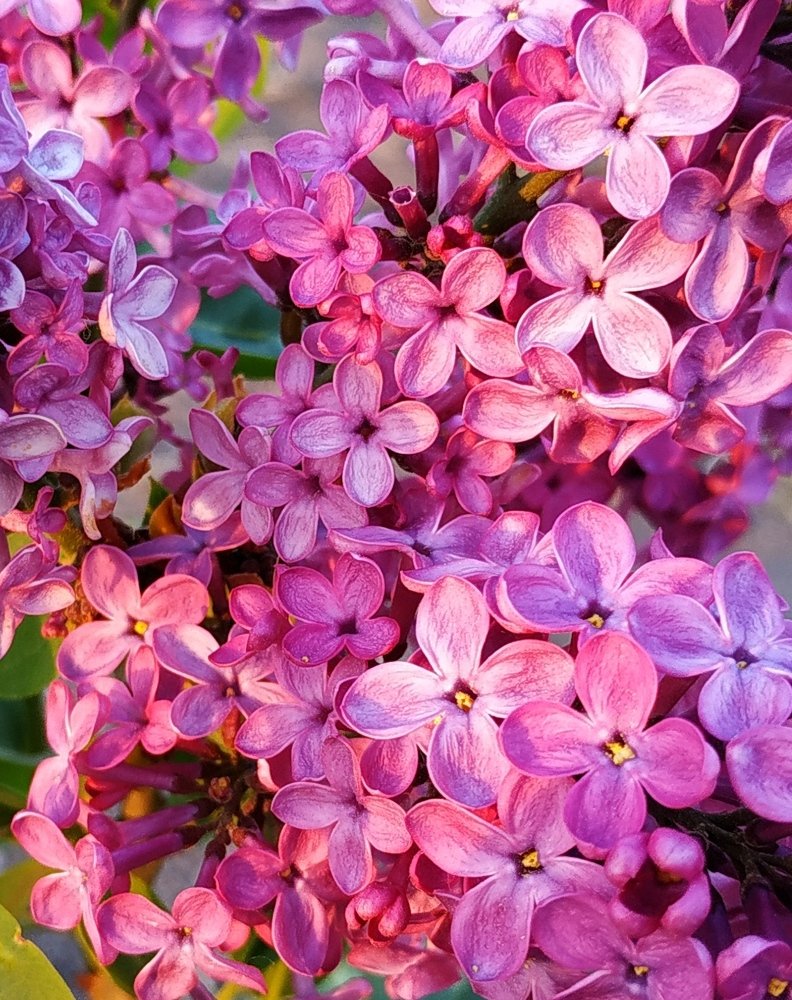 Photograph by Ольга Худорожко