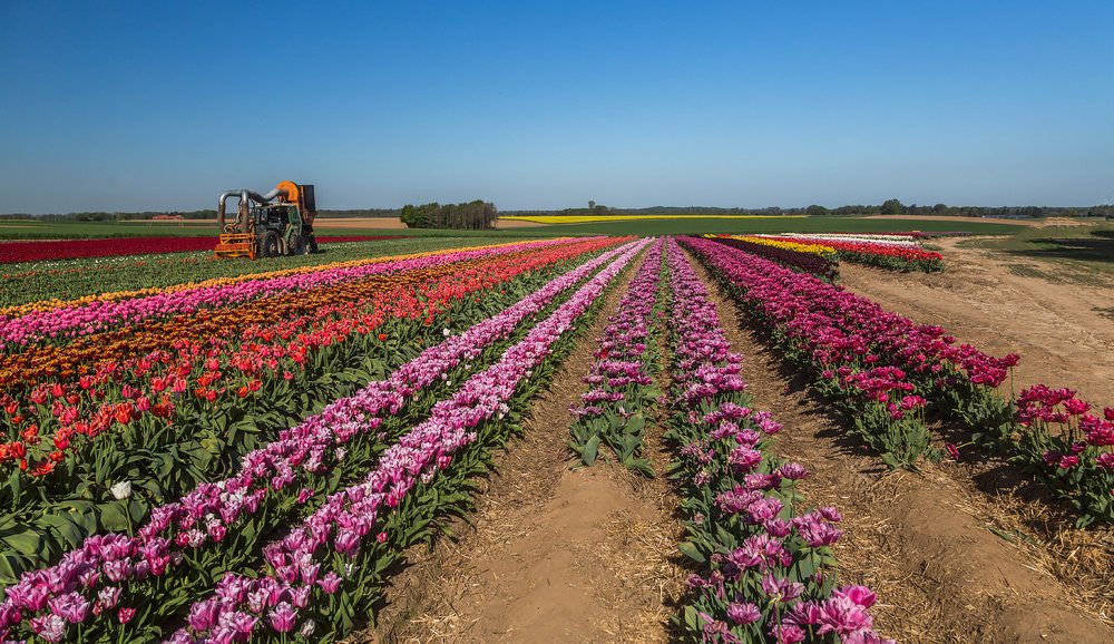 Photograph by Ирина Шумахер