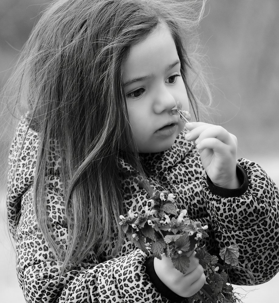 Цветок жизни