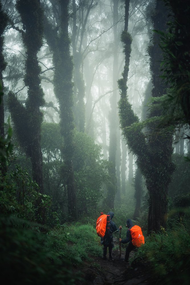 Photograph by Putu Eka