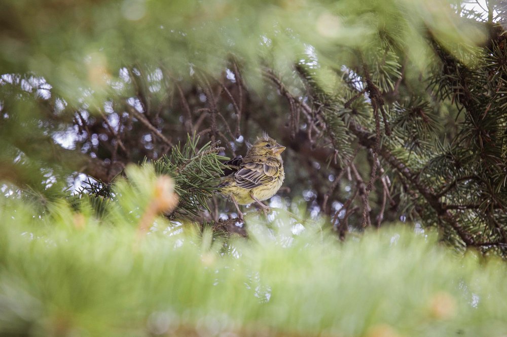 Photograph by Мария Мурзина