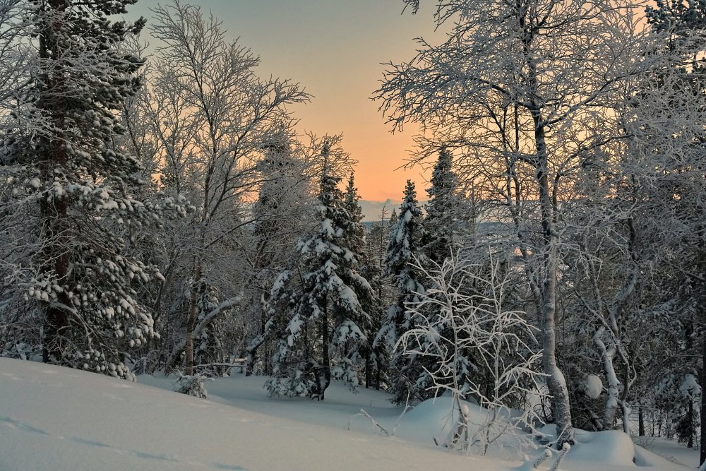 Photograph by Юрий Платухин