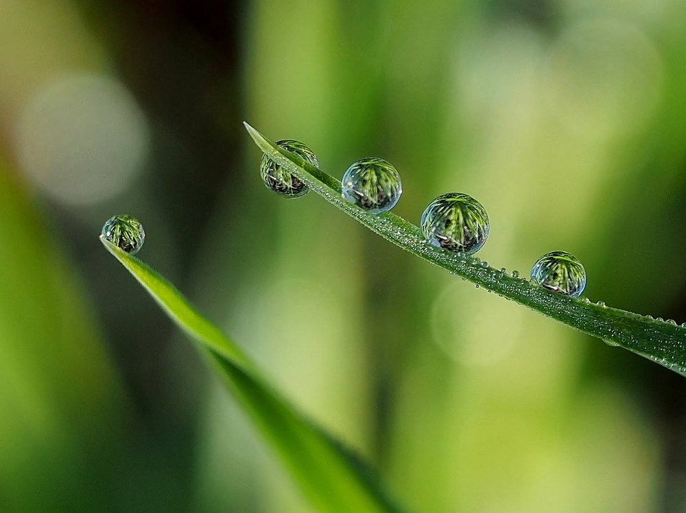А,Б,В и прочие сидели на траве...