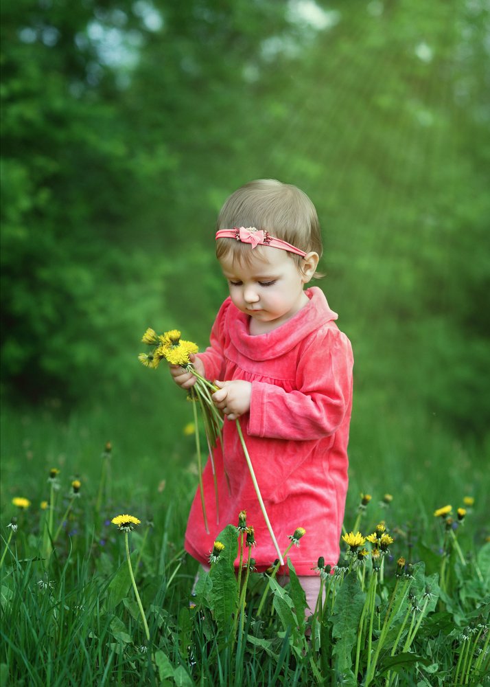 Фотография автора Екатерина Вострикова