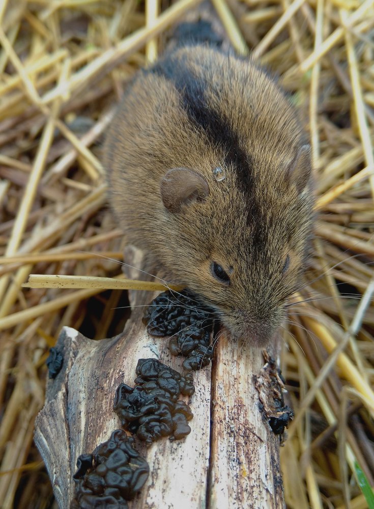 Photograph by Алексей Крукович