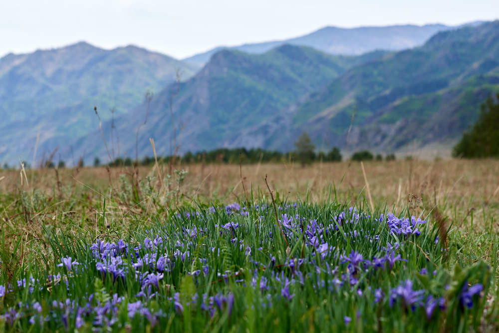 Photograph by Михаил Рогачев