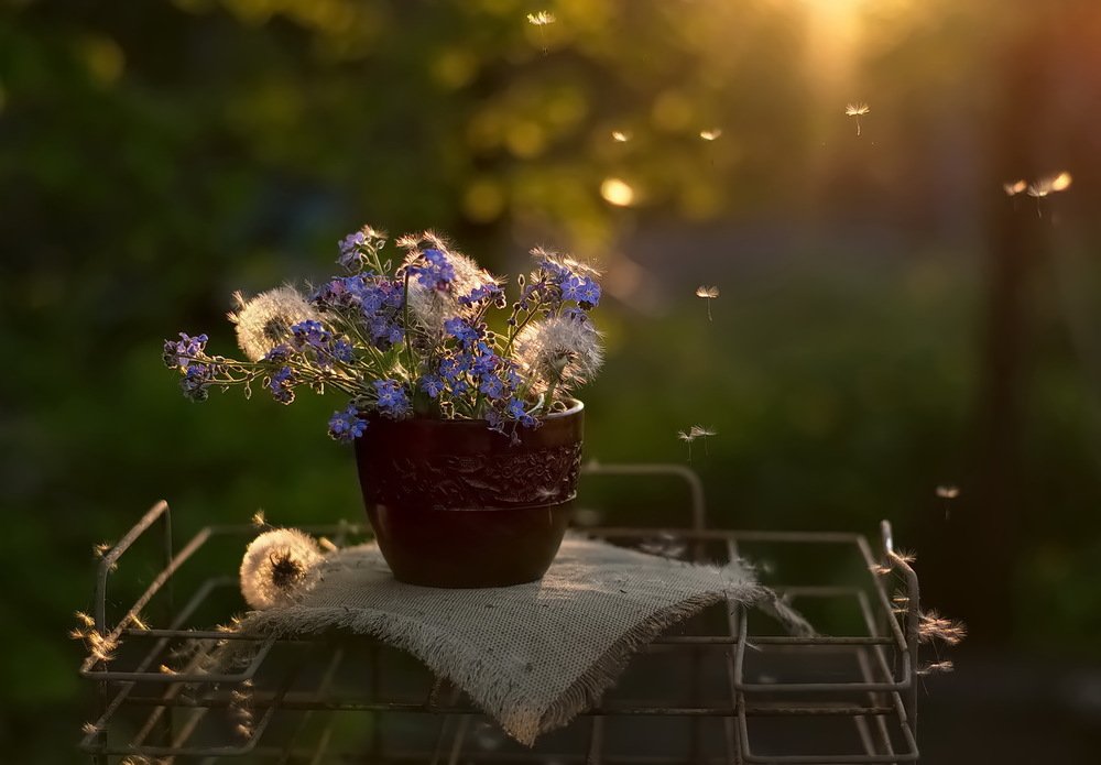 Легкость и беспечность весеннего дня.