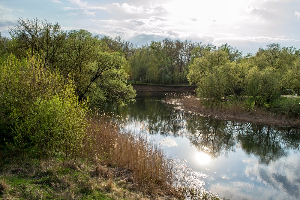 Photograph by Кипкин Александр