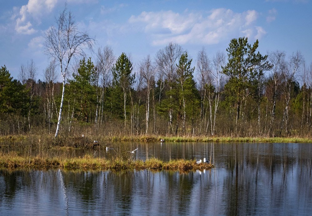 Photograph by Анна Панеева