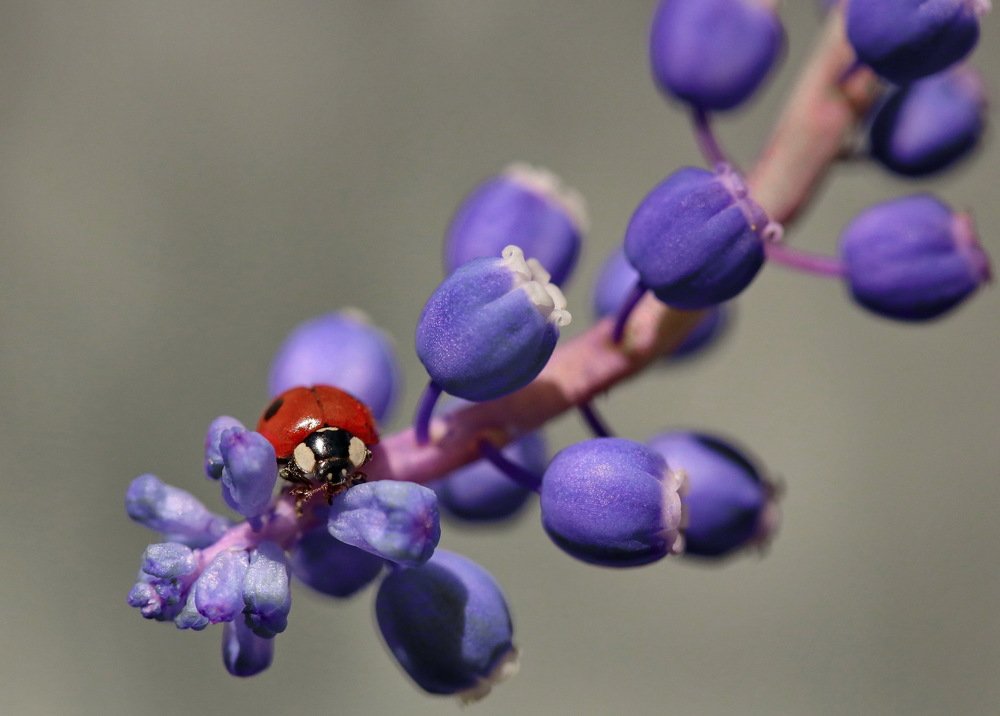 Photograph by Игорь Осипов