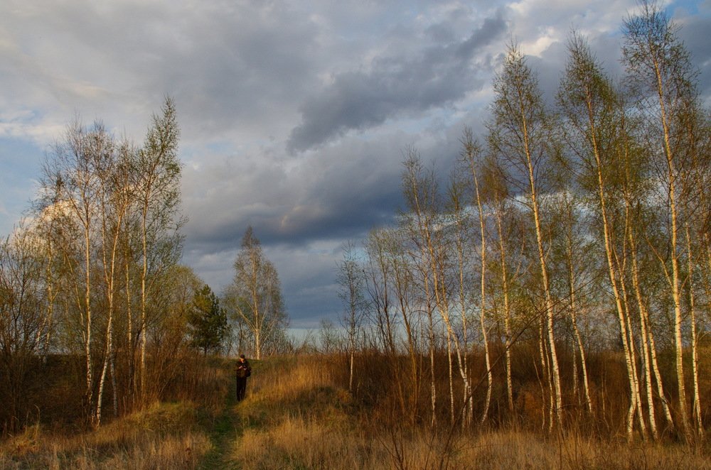 Photograph by 