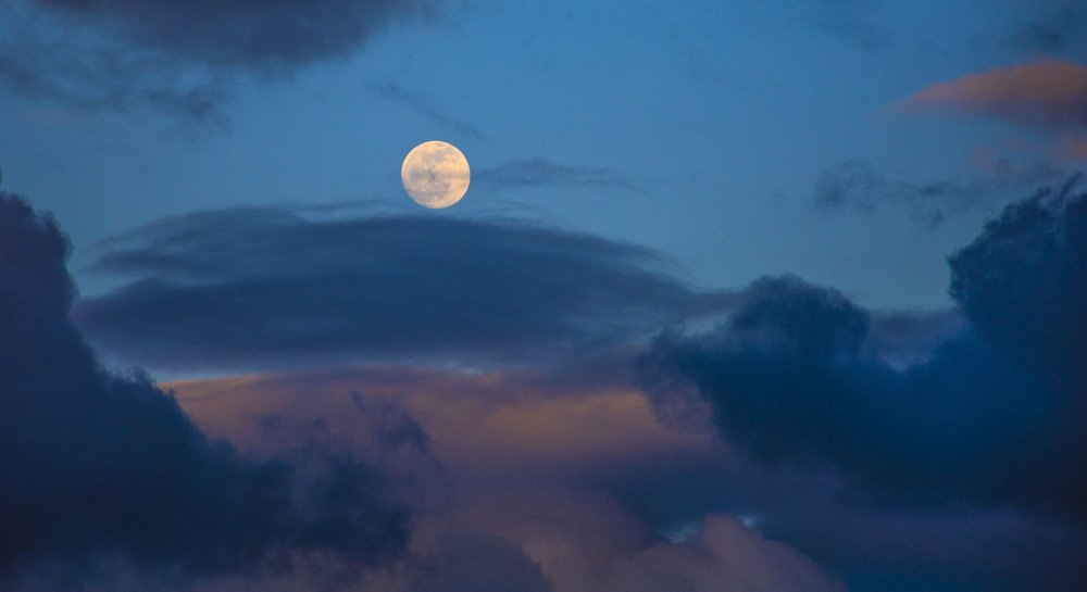 Photograph by islam elsayed eldaramlly