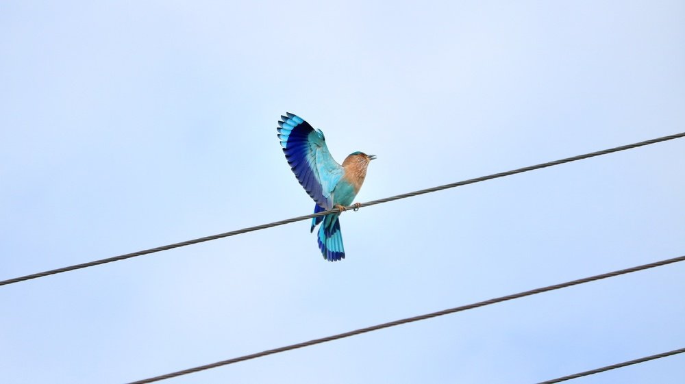 Photograph by Vivek Gohil