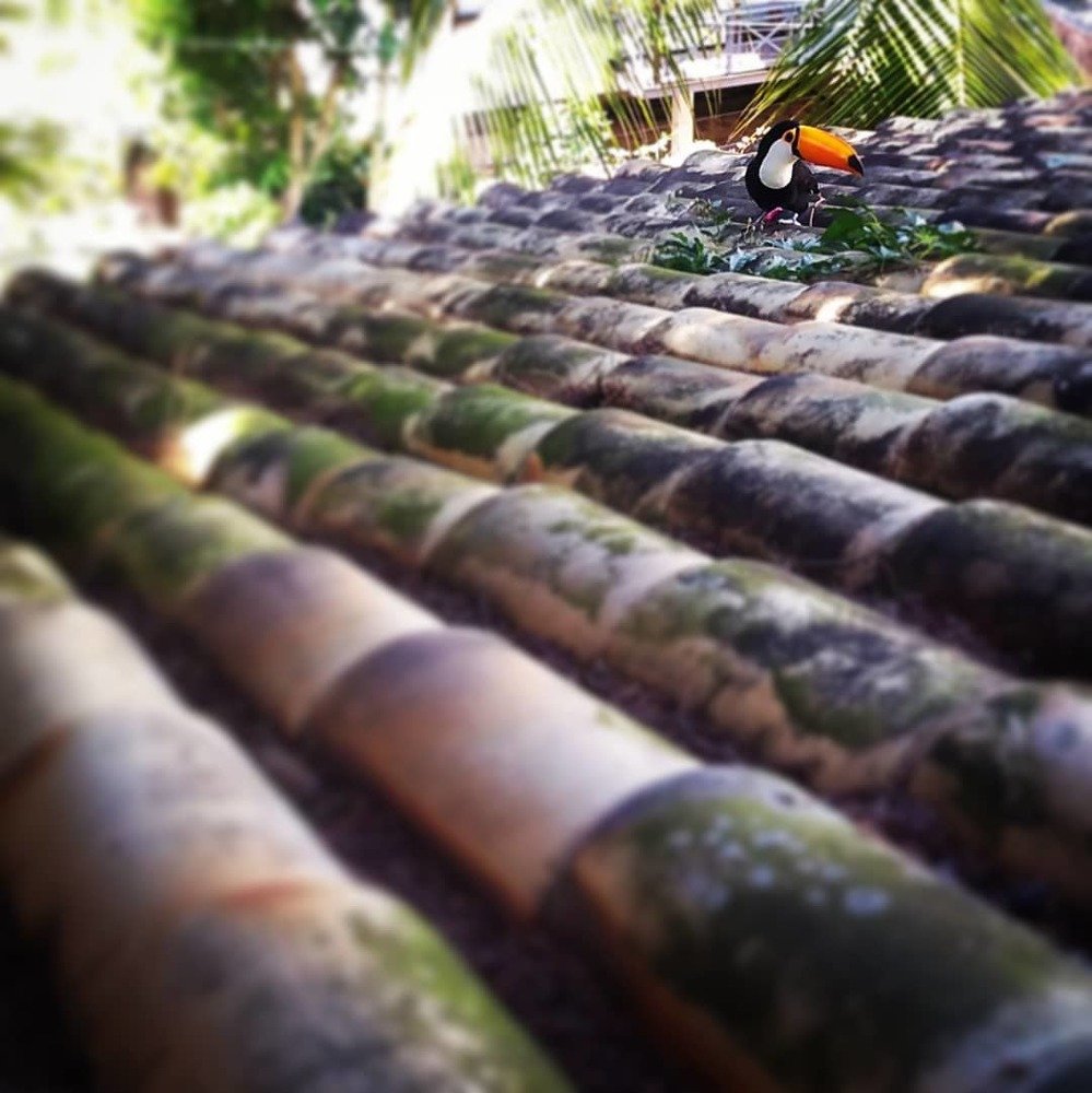 Photograph by Christian Gintner