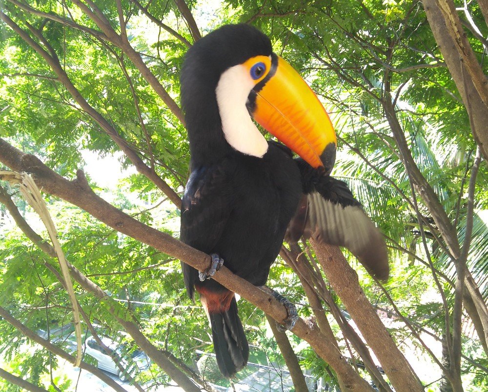 Photograph by Christian Gintner