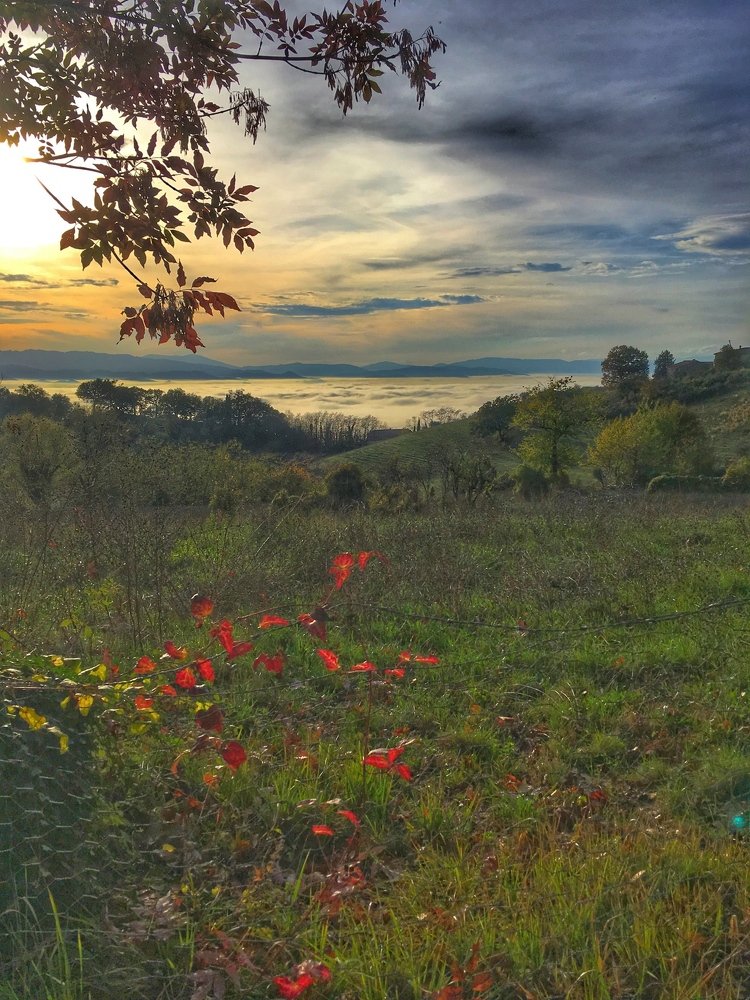 Quiet country above the fog