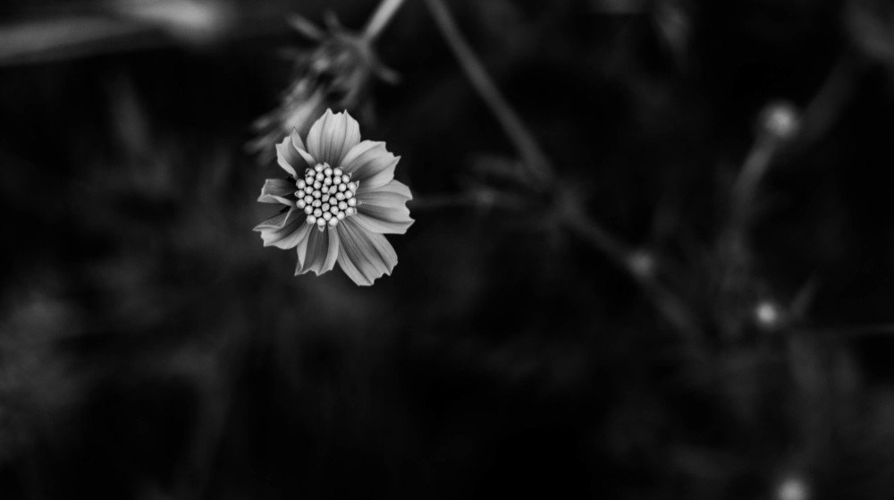 Photograph by Rafael Jesan