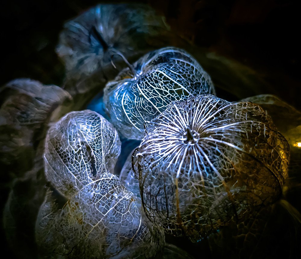 Photograph by Виктор Поверенов