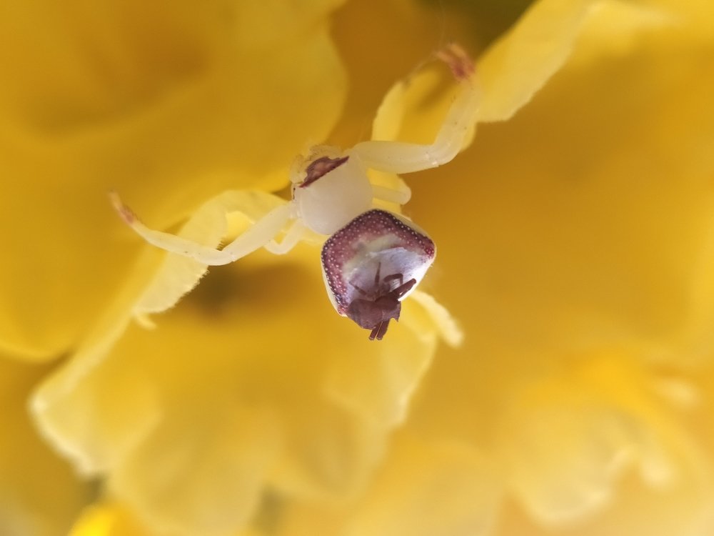 Photograph by Santanu Bag