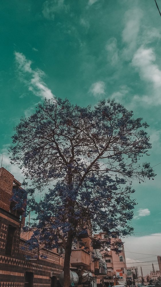 After the cold winter