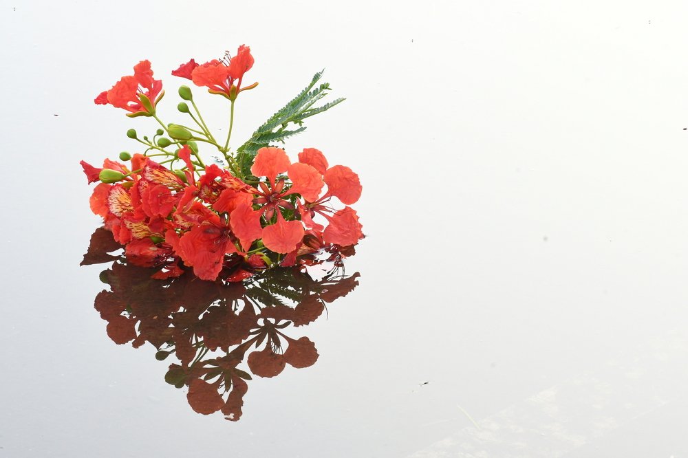 Photograph by Praveen Bhagat