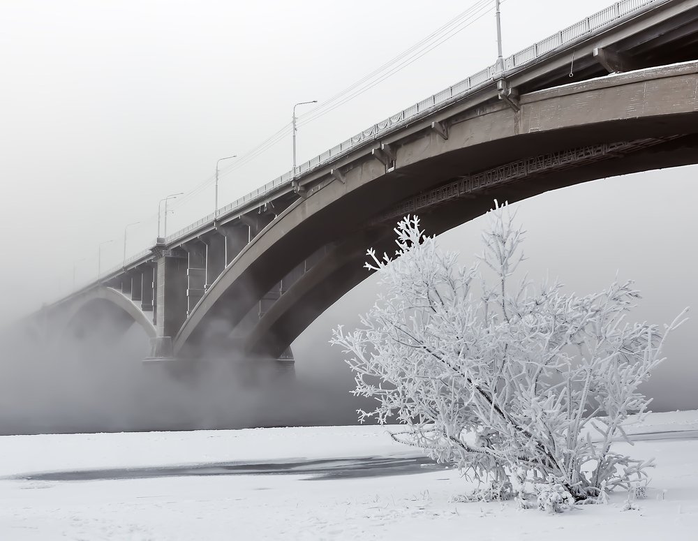 Photograph by Виктор Бабинцев