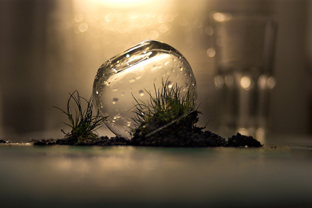 Photograph by Алена Псарева