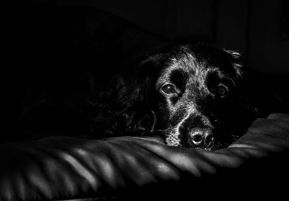 Photograph by Васенин Павел