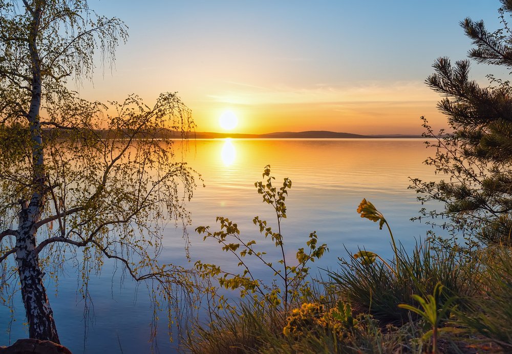 Photograph by Александр Кривошеин