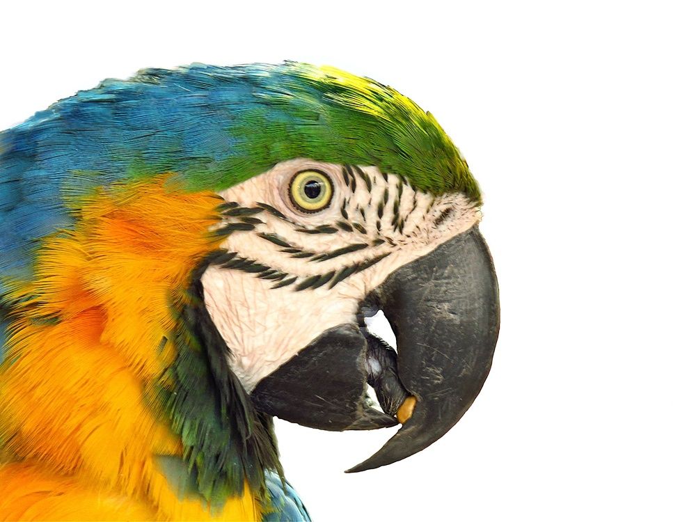 Photograph by Amin Ghaffarian