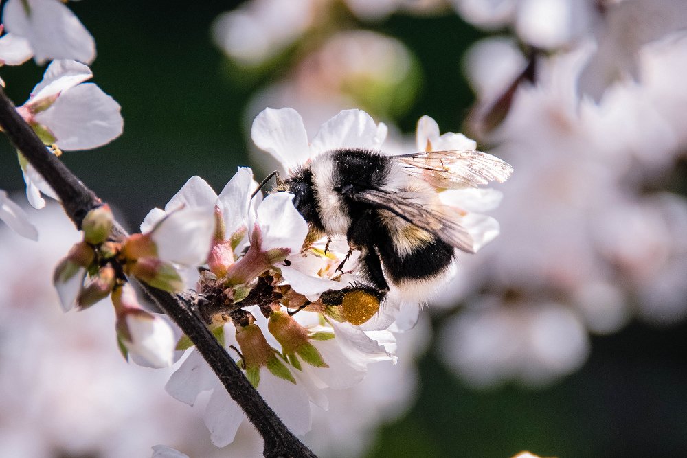 Photograph by Кадырова Анастасия