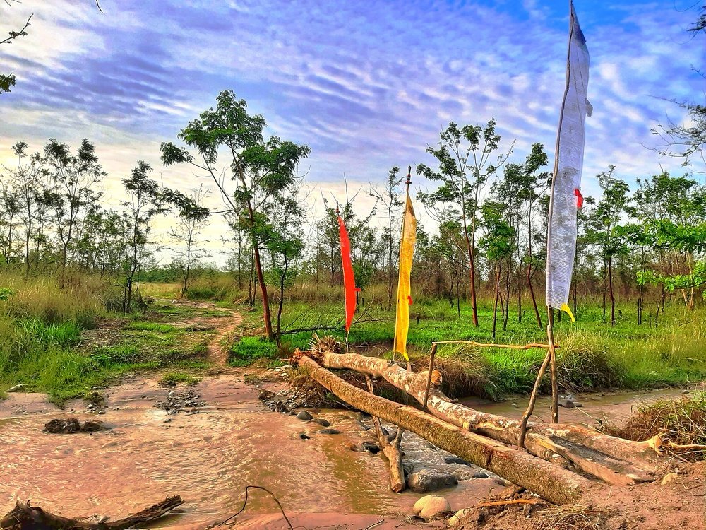 Photograph by Dago Dorji