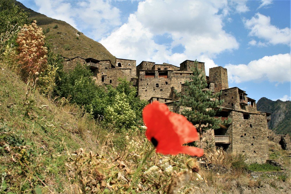 Photograph by Aza Mdinaradze