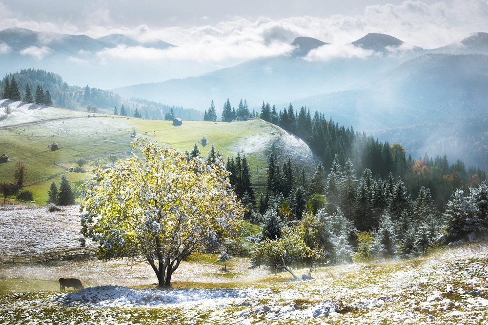 Photograph by Julia Opilat