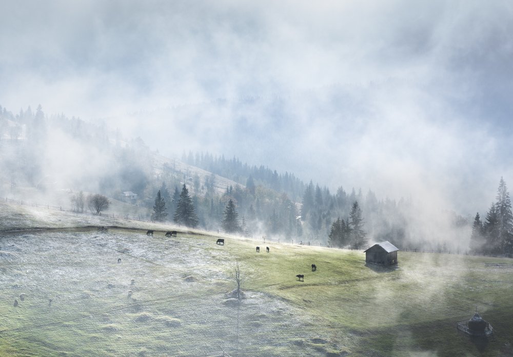 Photograph by Julia Opilat