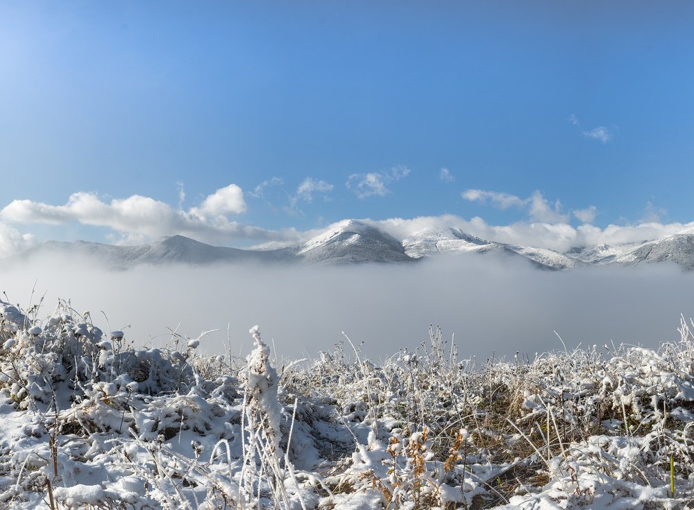 Photograph by Julia Opilat