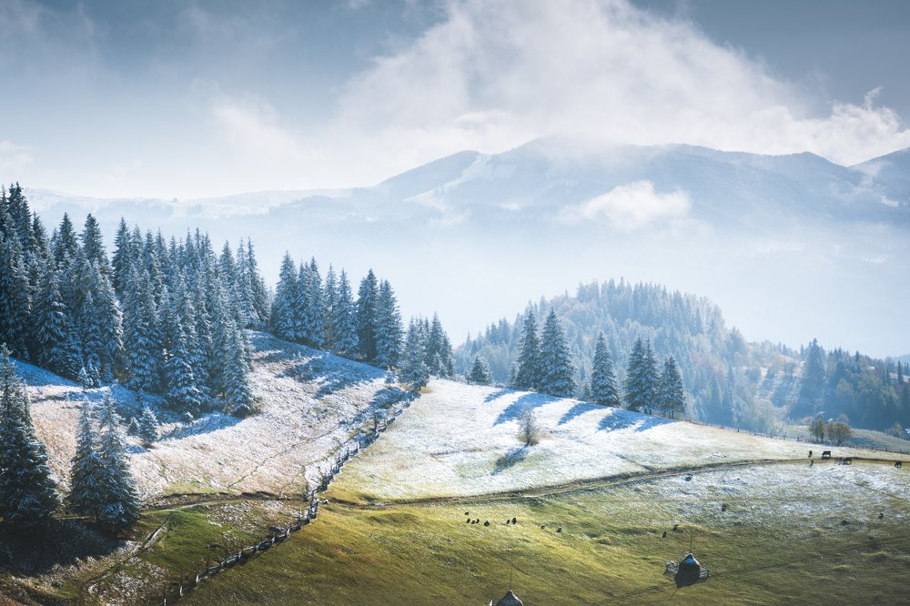 Photograph by Julia Opilat