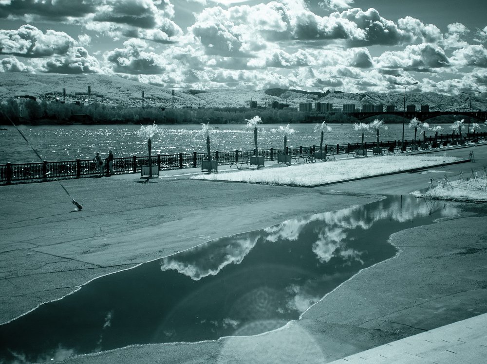 Пальмы на Енисее