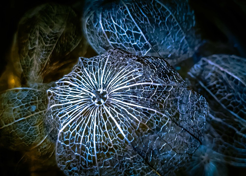 Photograph by Виктор Поверенов