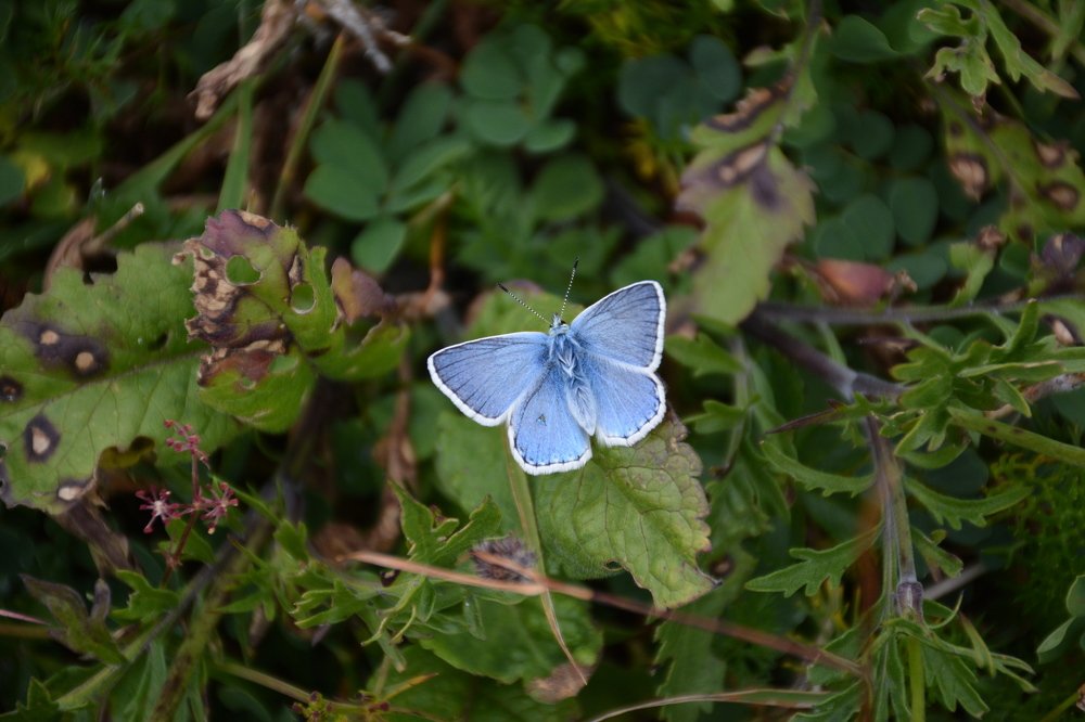 Photograph by aysun güneş