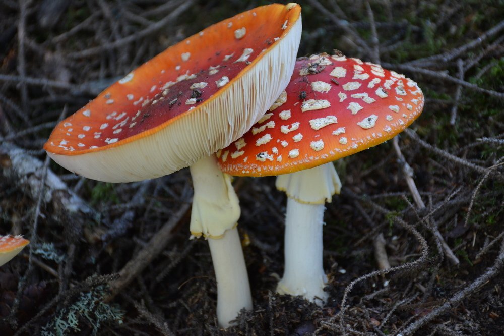 Photograph by aysun güneş