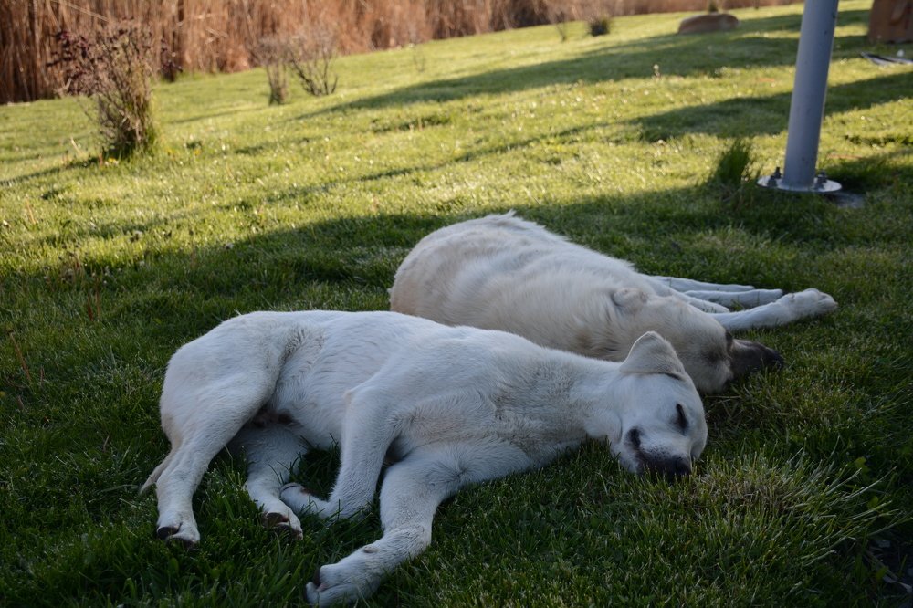 Photograph by aysun güneş