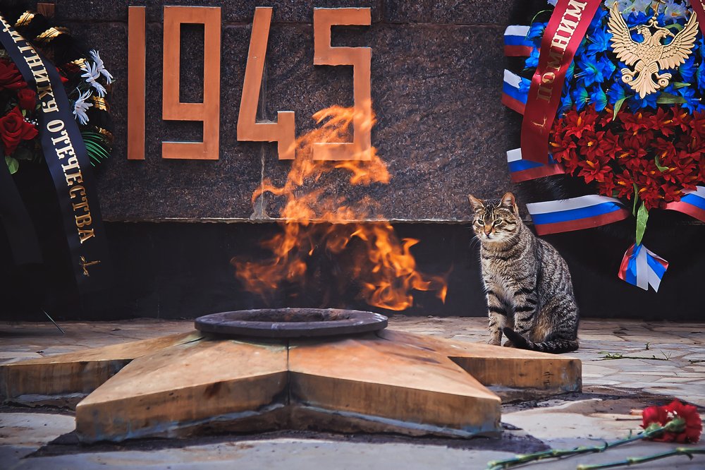 Photograph by Спартак Бикунов