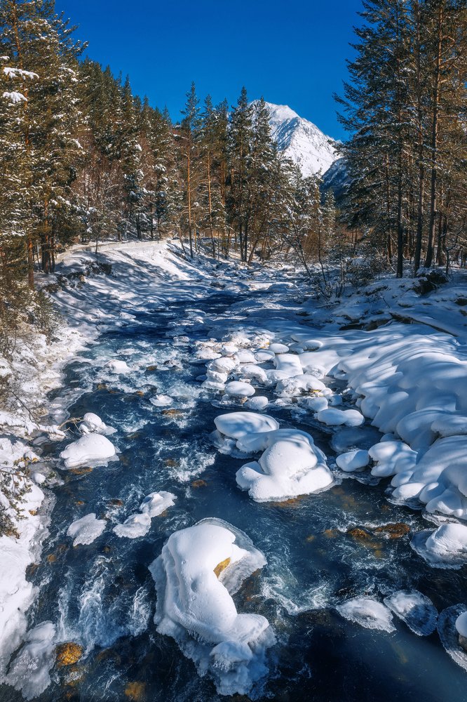 Фотография автора Анастасия Мазурева