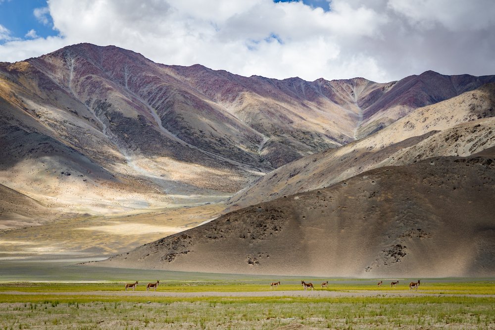 Photograph by SAYARI BANERJEE