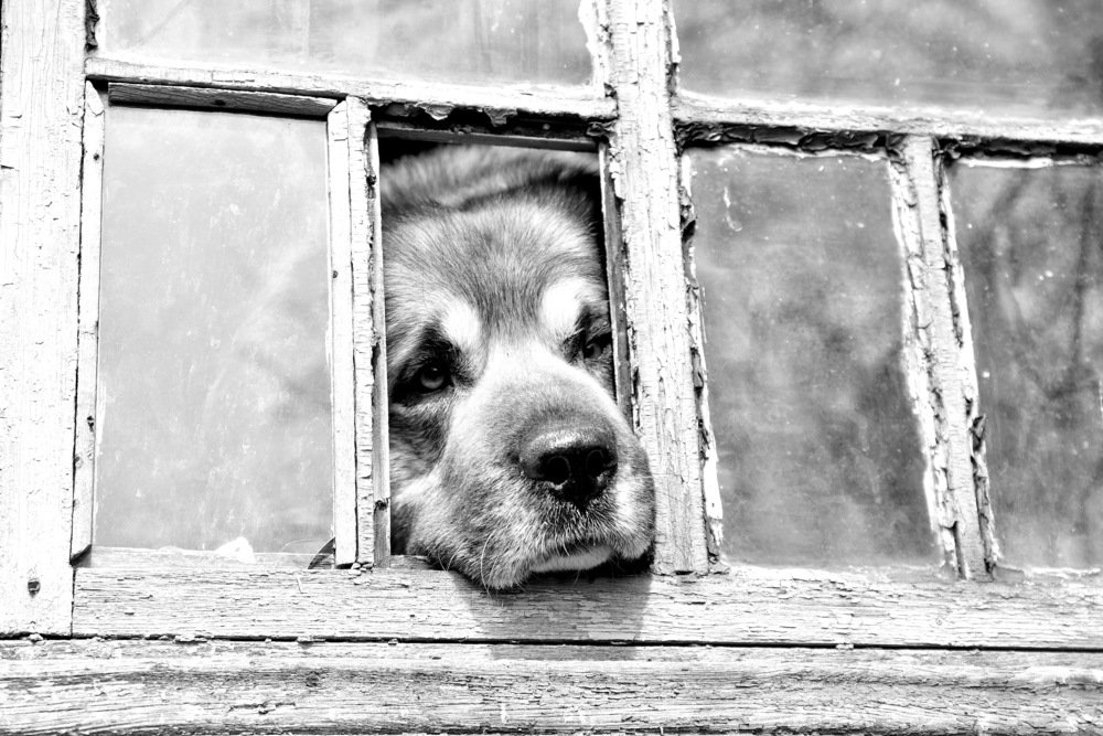 Photograph by Евгения Полянова