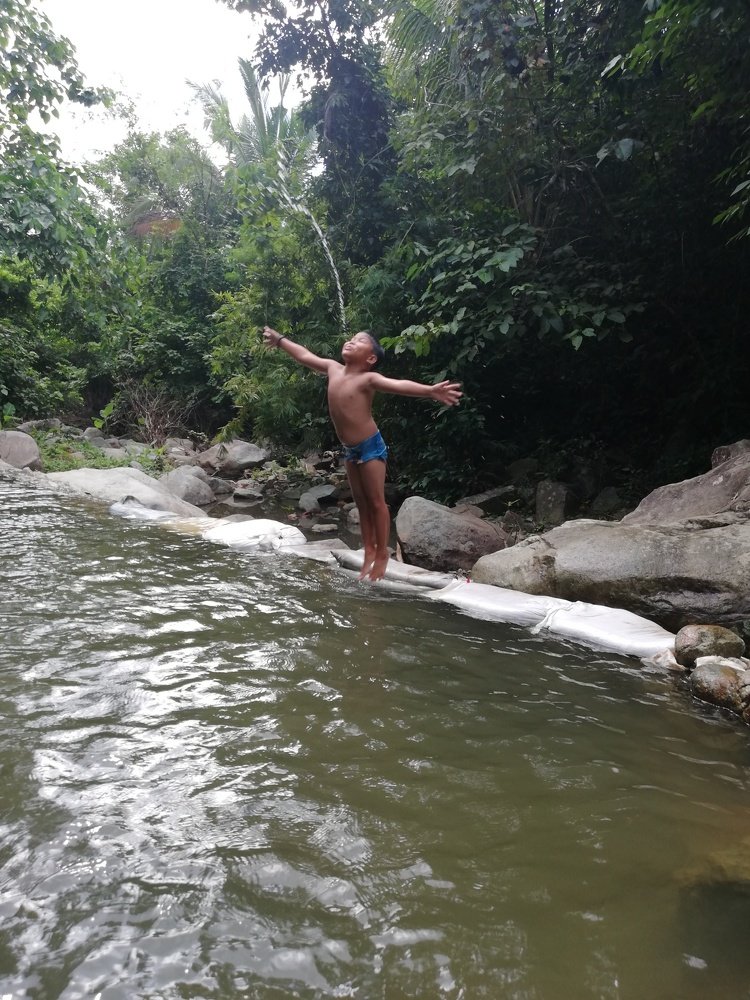 Photo #4583709