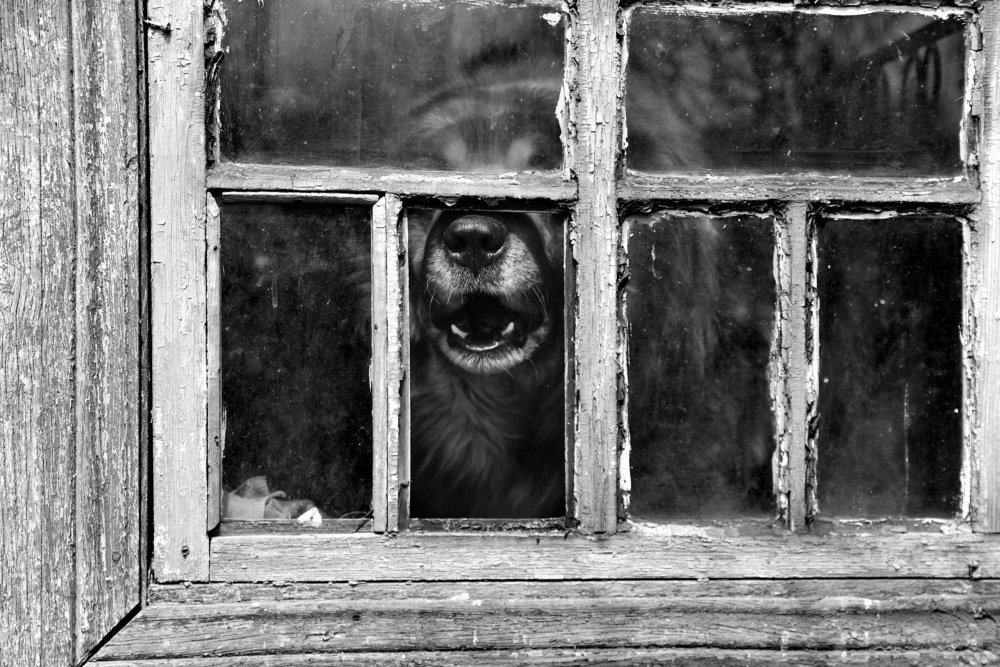 Photograph by Евгения Полянова