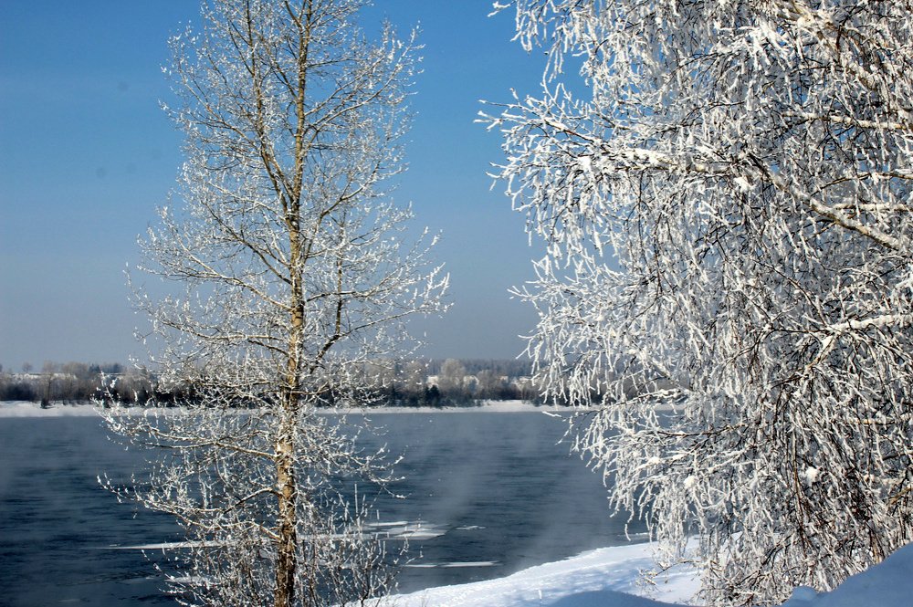Фотография автора Галина Герасименко