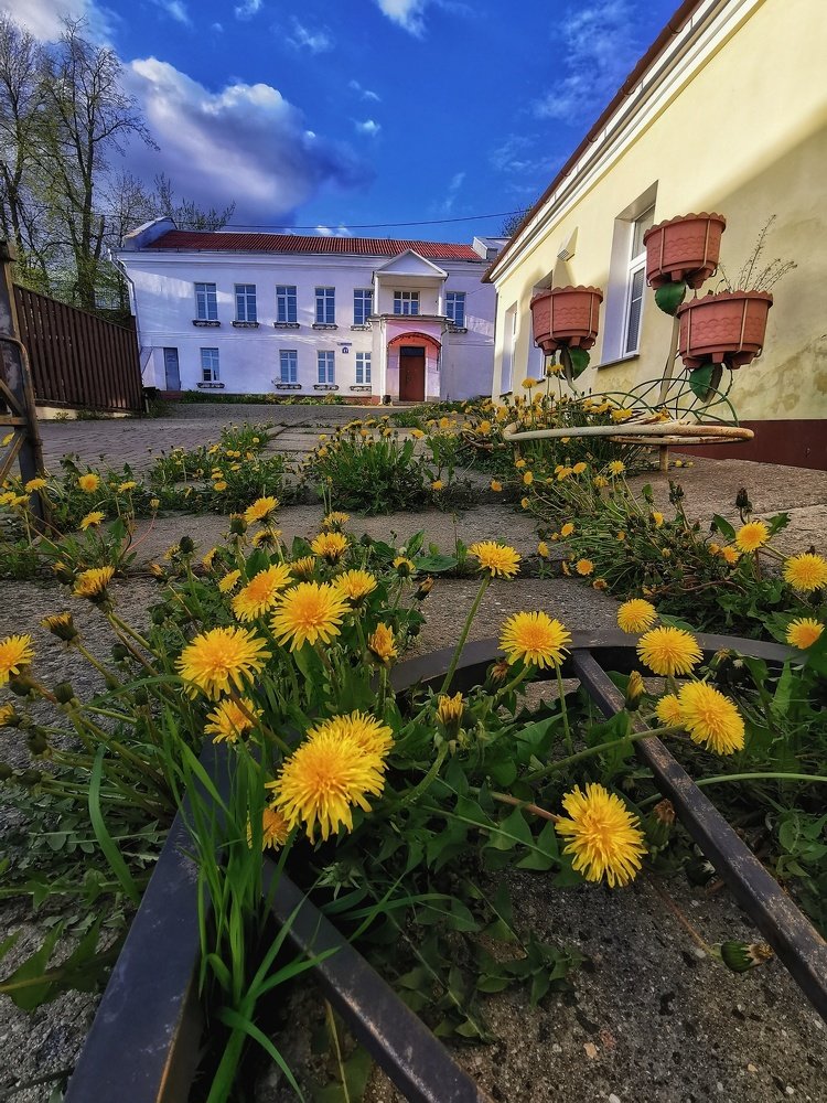 теплый весенний день